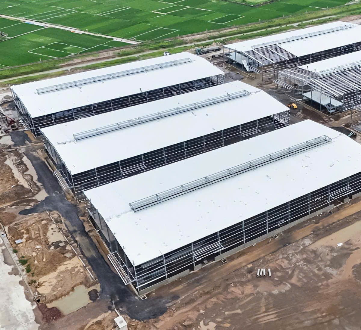 Dự án xây dựng nhà xưởng - VP cho thuê Holi